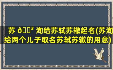 苏 🐳 洵给苏轼苏辙起名(苏洵给两个儿子取名苏轼苏辙的用意)